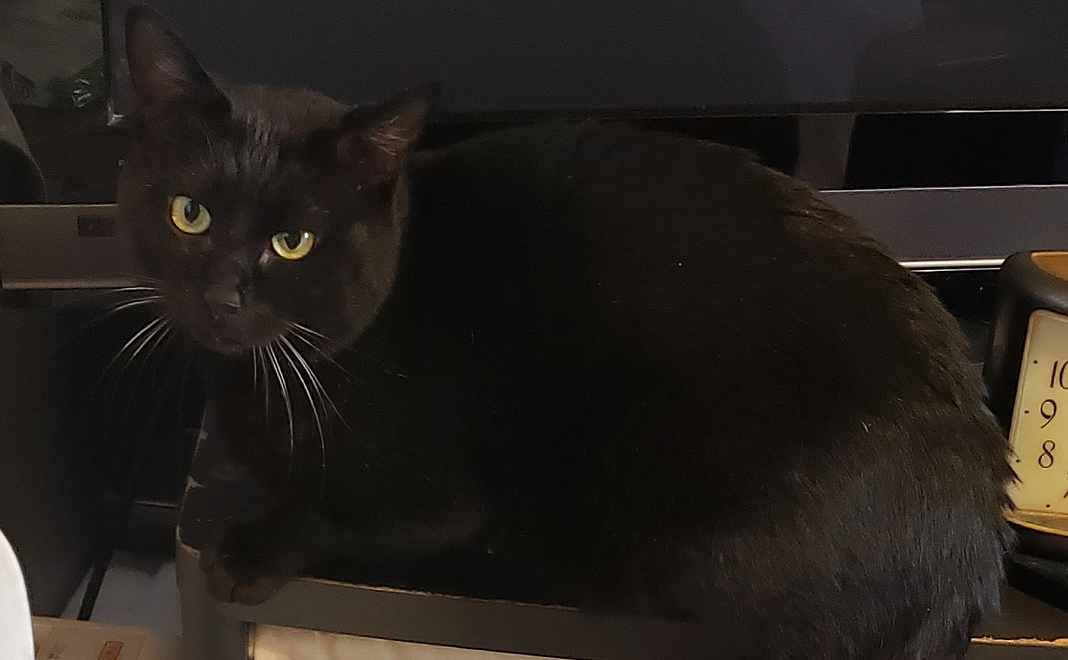 感謝のメール。2