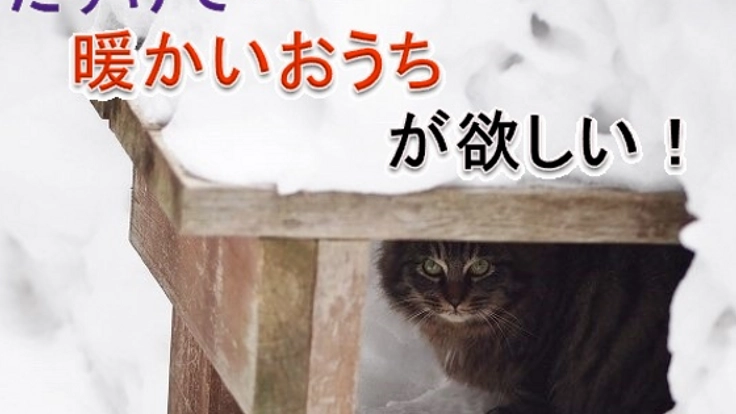 ペレットが北国の猫を救う!ペレットストーブ&猫砂普及大作戦!
