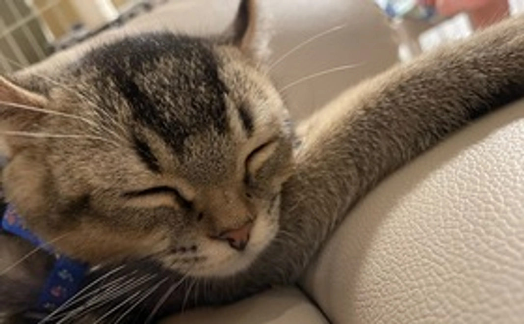 感謝の気持ちをメールにてお伝えさせてください