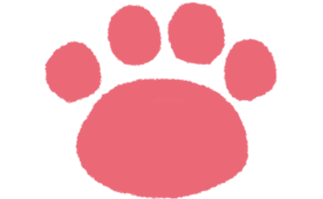 【10,000円コース】避妊・去勢代支援