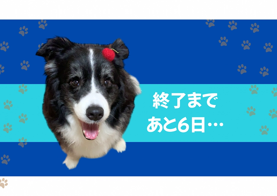 終了まで残り6日