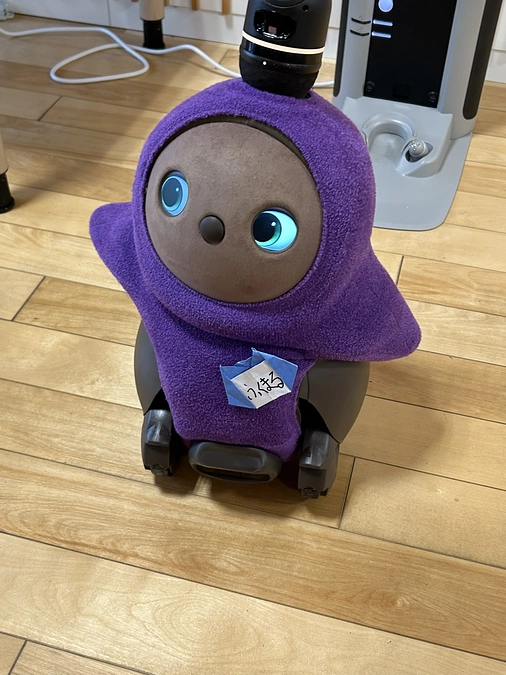 ご無沙汰しています。近況報告です。