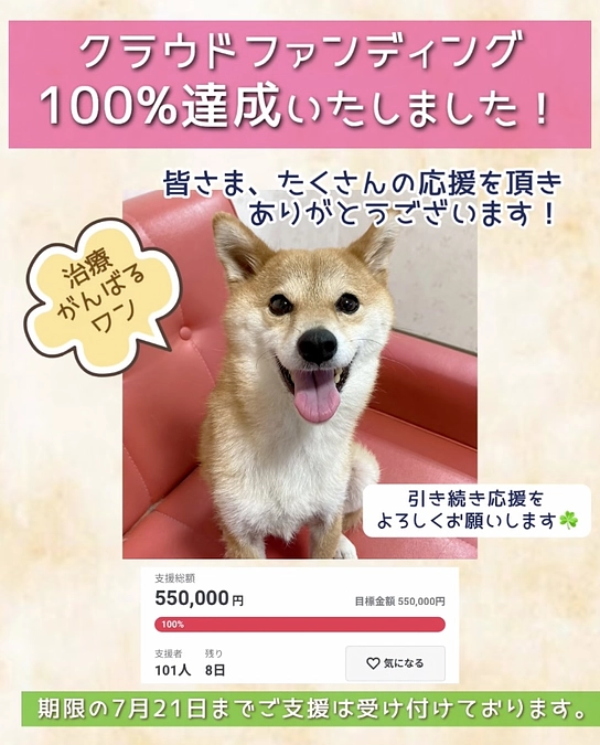 応援いただきありがとうございます！【100%達成】