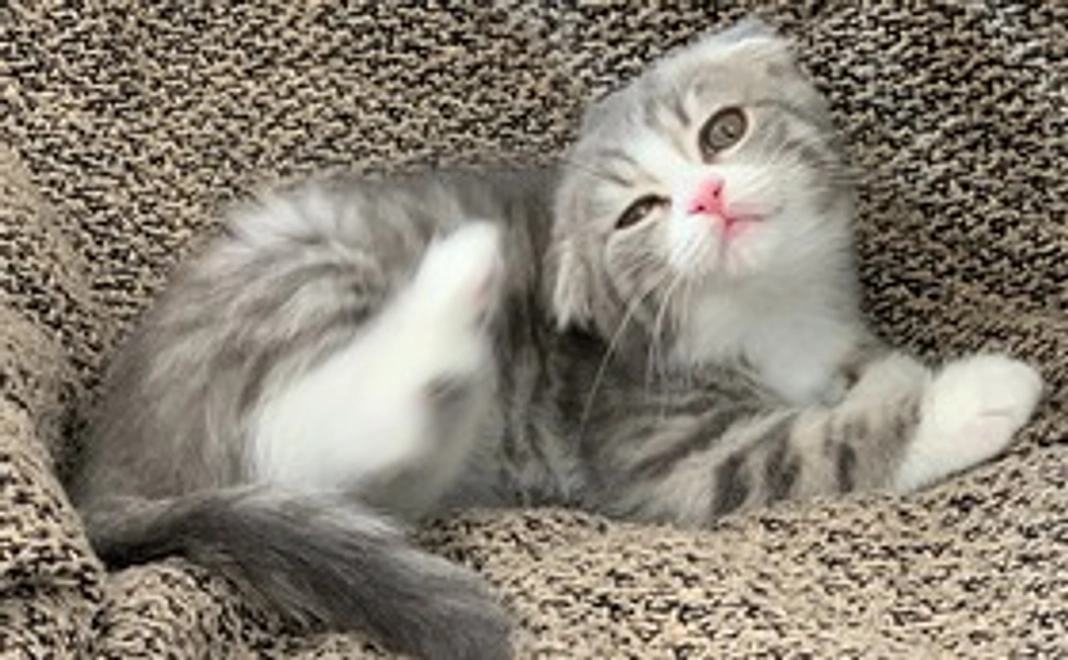 うにちゃん頑張れ！3000