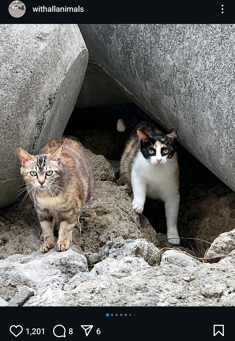 １月２６日は、轟くんとちゃんぷちゃんのお届けでした♪