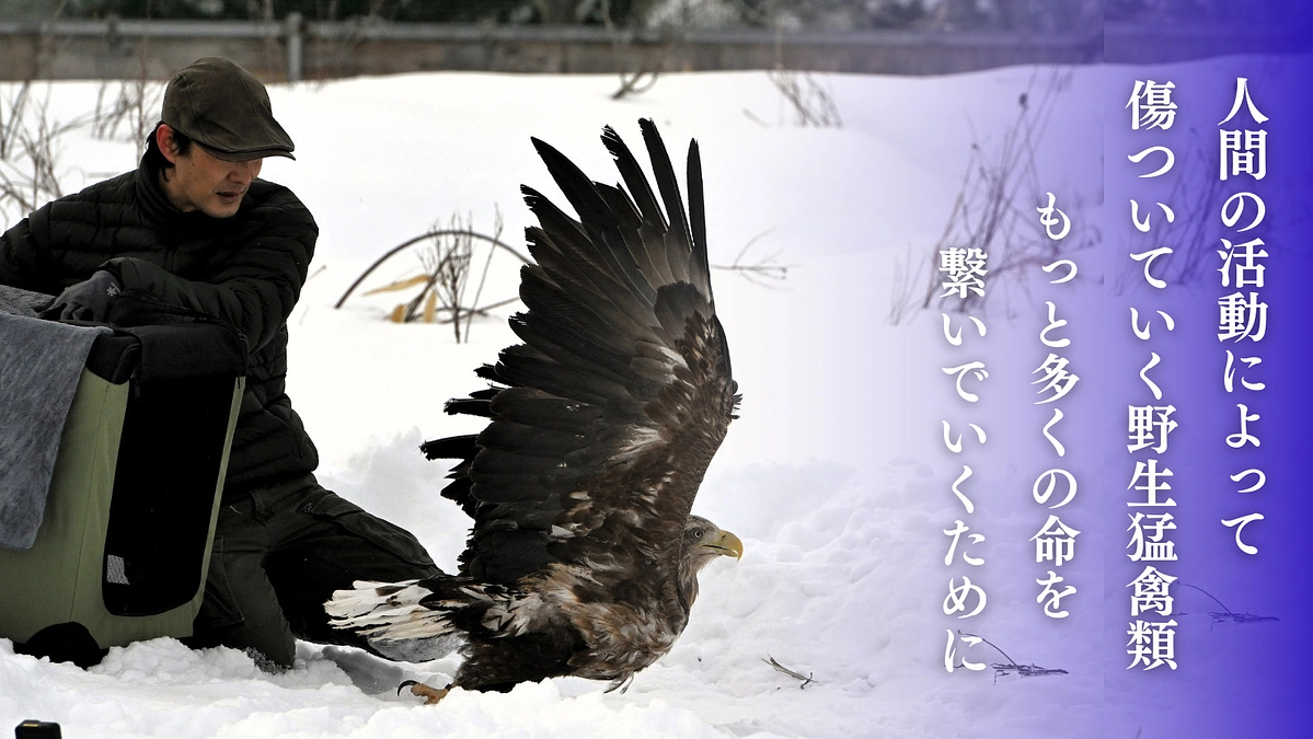 猛禽類医学研究所初めてのクラウドファンディングにご支援いただいた皆様へお知らせ