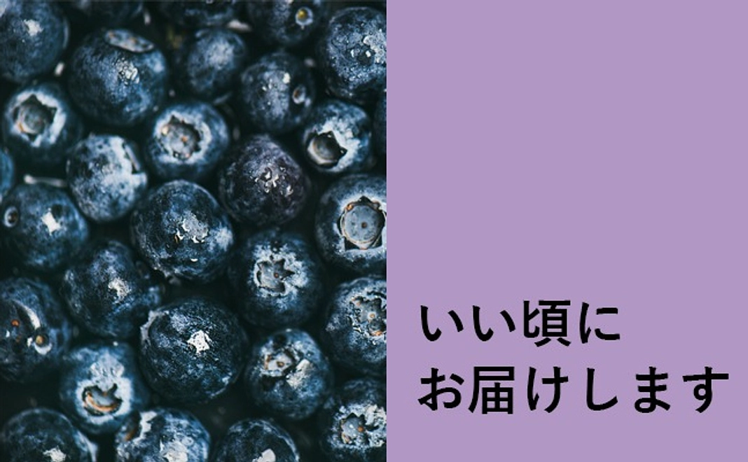 2024年完熟ブルーベリー 1㎏