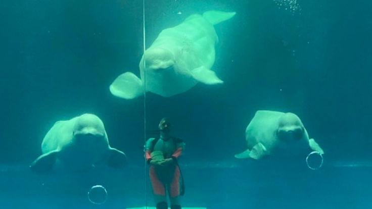 スマホ、タブレットでみんなを幸せにしたい