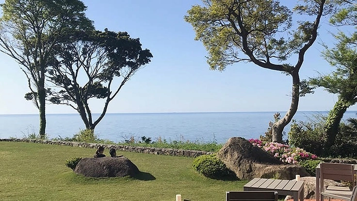 コロナ第3波で存続の危機に。この素晴らしいカフェの未来応援ください