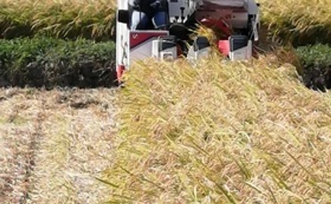 お米450g（約3合）