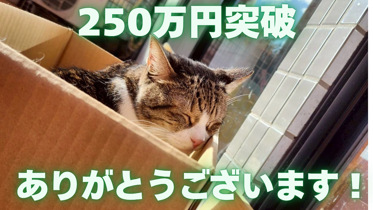 🌸感謝のご報告🌸250万円突破いたしました！🌸