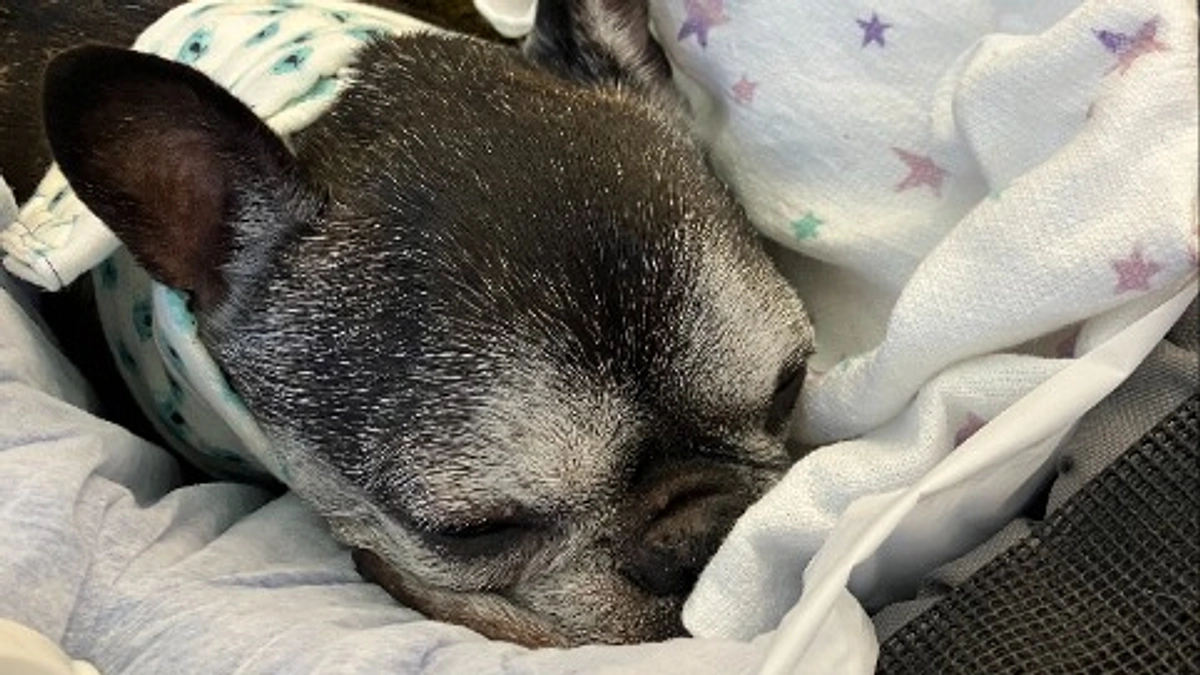 経過報告（締め切りまであと9日）