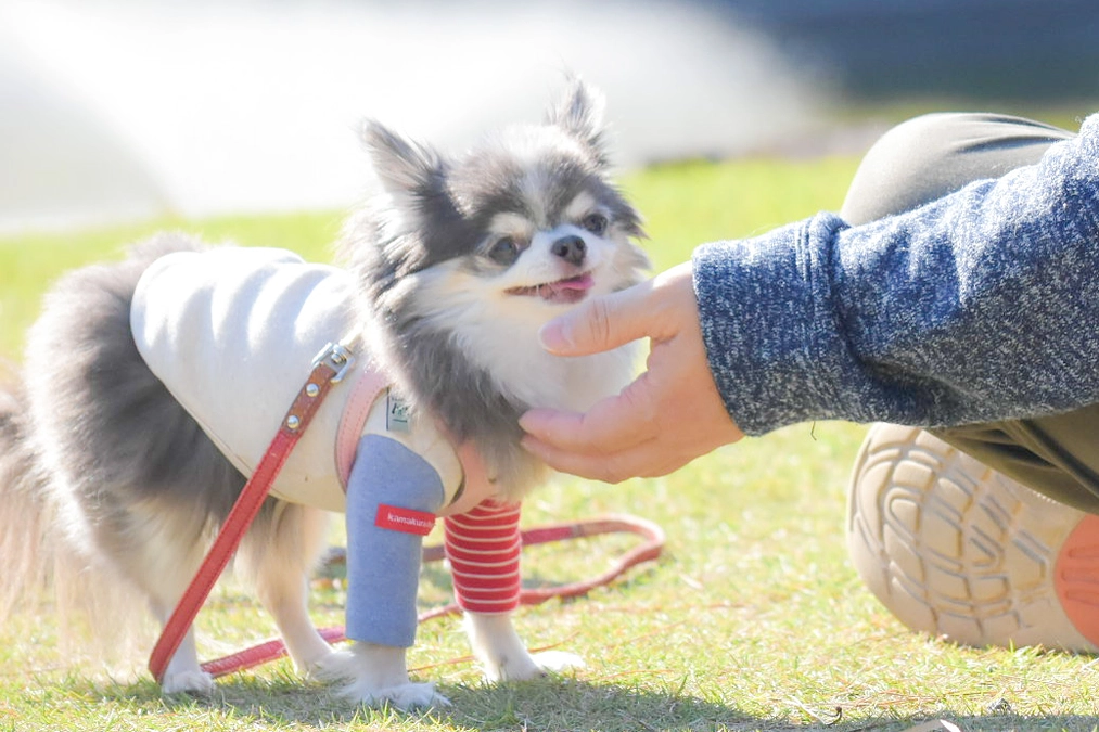 ありがとうございます(⁎ᴗ͈ˬᴗ͈⁎)