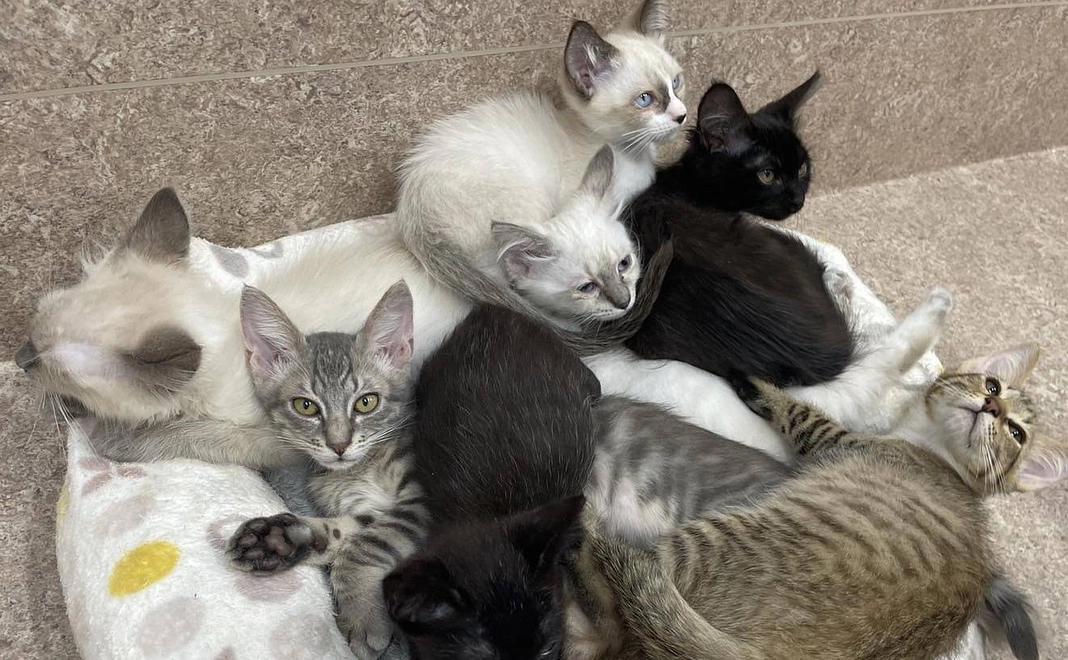 【全額ご支援】5,000円コース