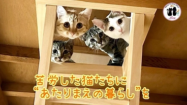 小さな命を守るため!!リアンサポーター募集 のトップ画像