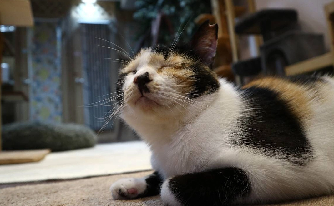 お気持ち応援!1口3000円コース