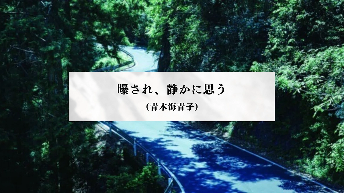 曝され、静かに思う（青木海青子）