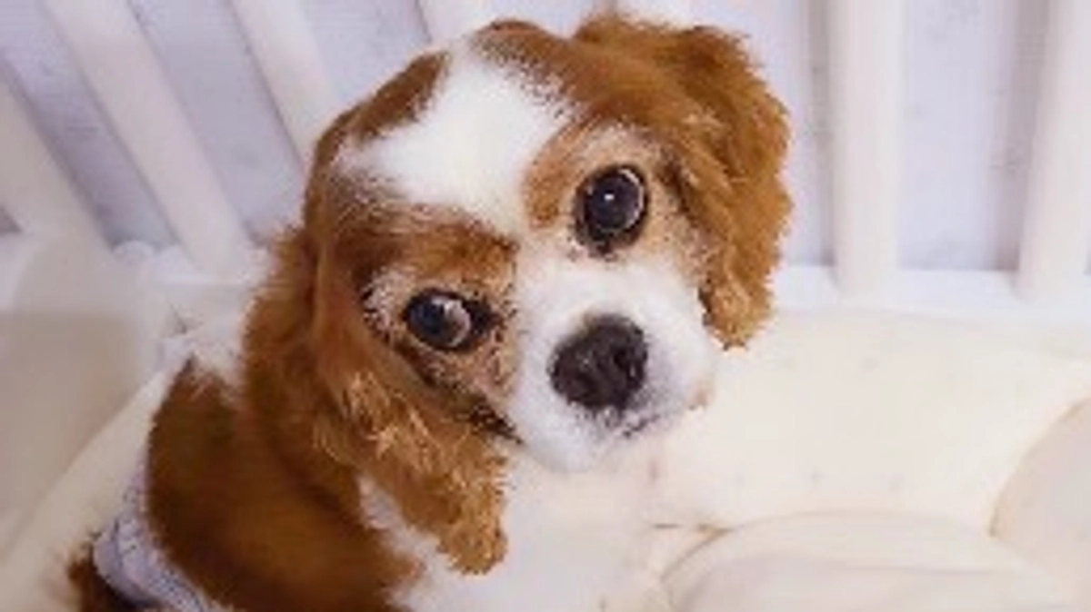 退院1日目✨穏やかな日々です☺️