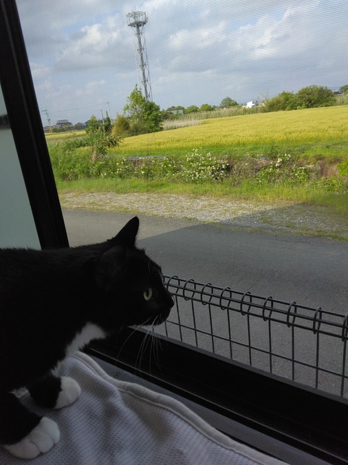 5/10はなちゃんの様子