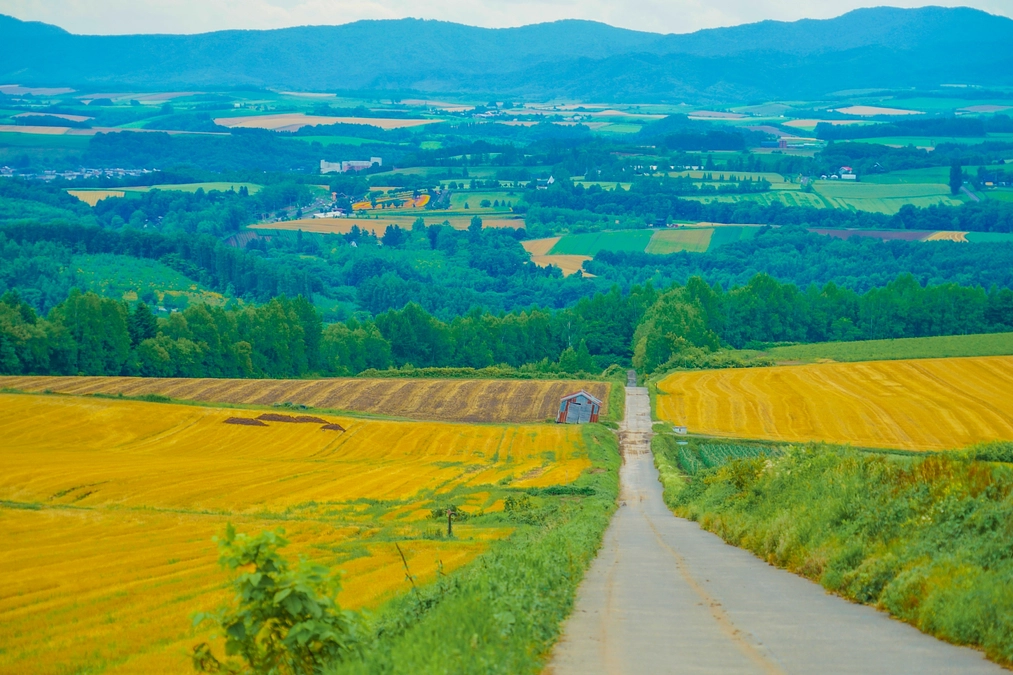 北海道地方の開催都市決定！！　さてどこでしょう？？