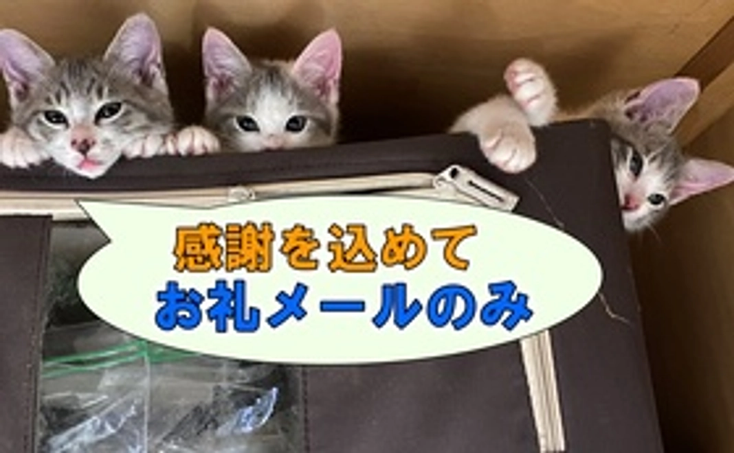 【お礼メールのみ】10,000円コース