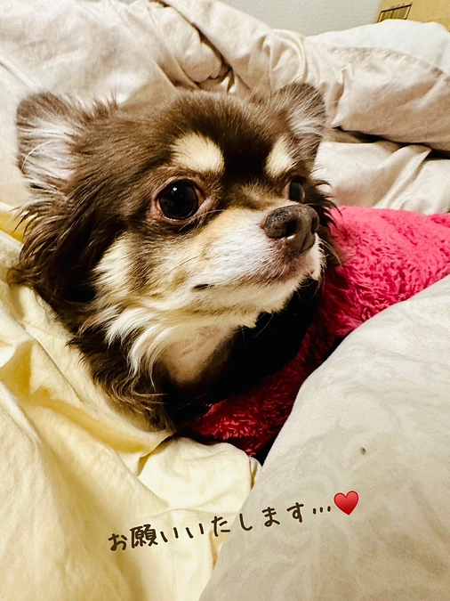 2024/1/5   クラウドファンディング 残り23日になりました‼︎