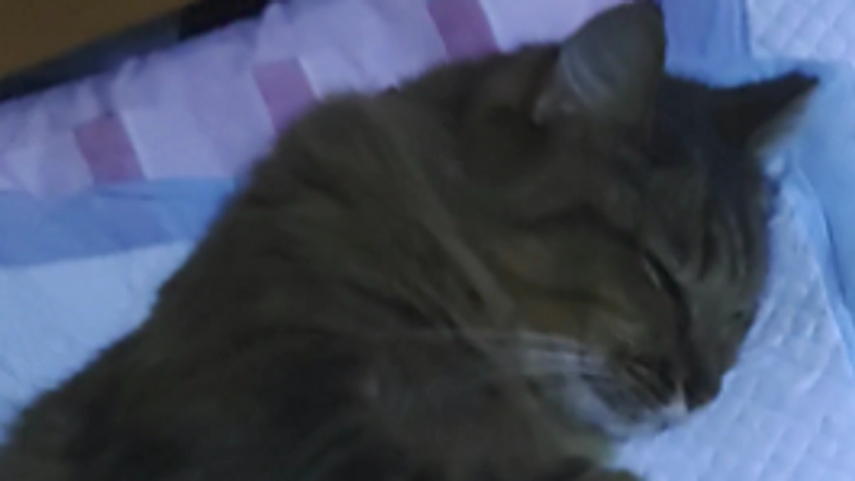 今日は病院に行く予定です。