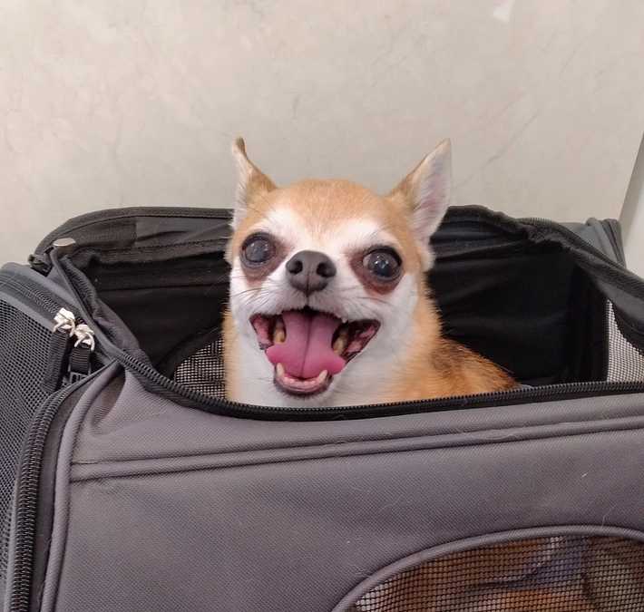 6/3 検査をしてきました