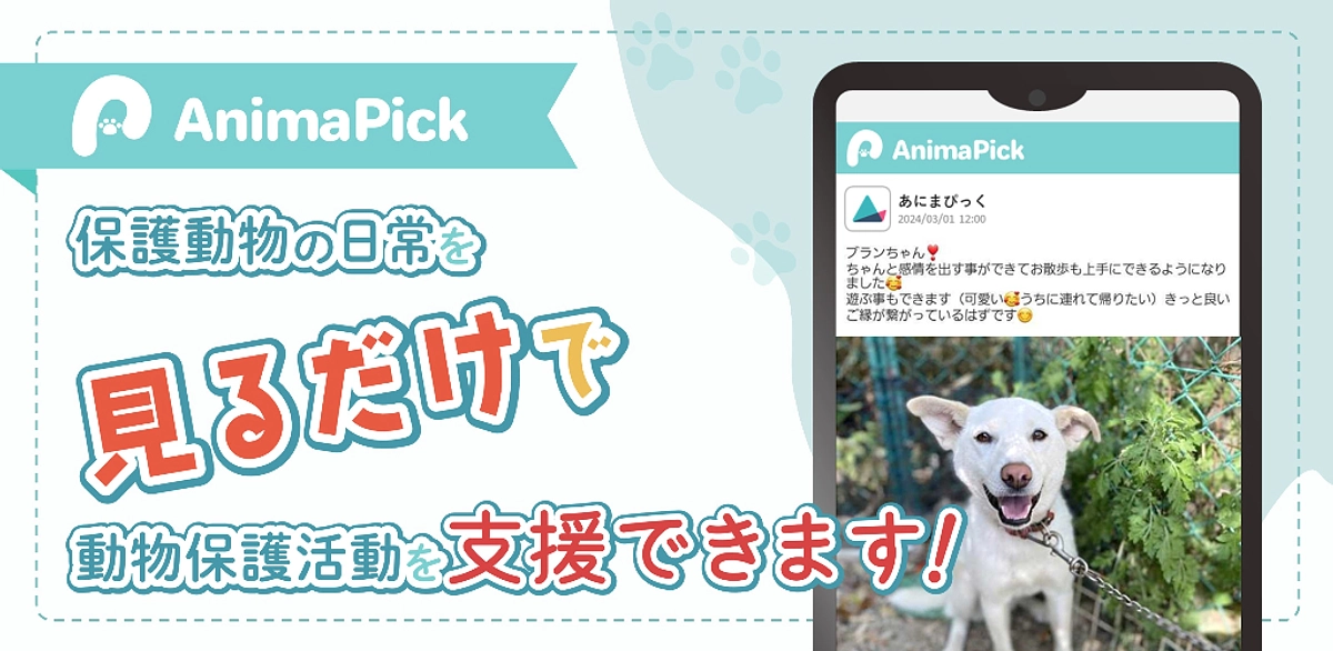 AnimaPickスマホアプリ版リリースについてのお知らせ