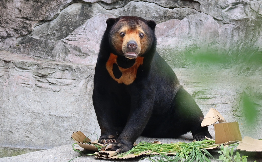 【控除対象】50,000円応援コース