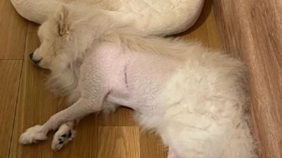 術後の定期検査