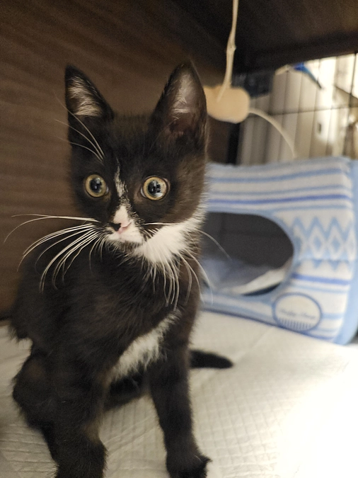 プロジェクト達成率60%！