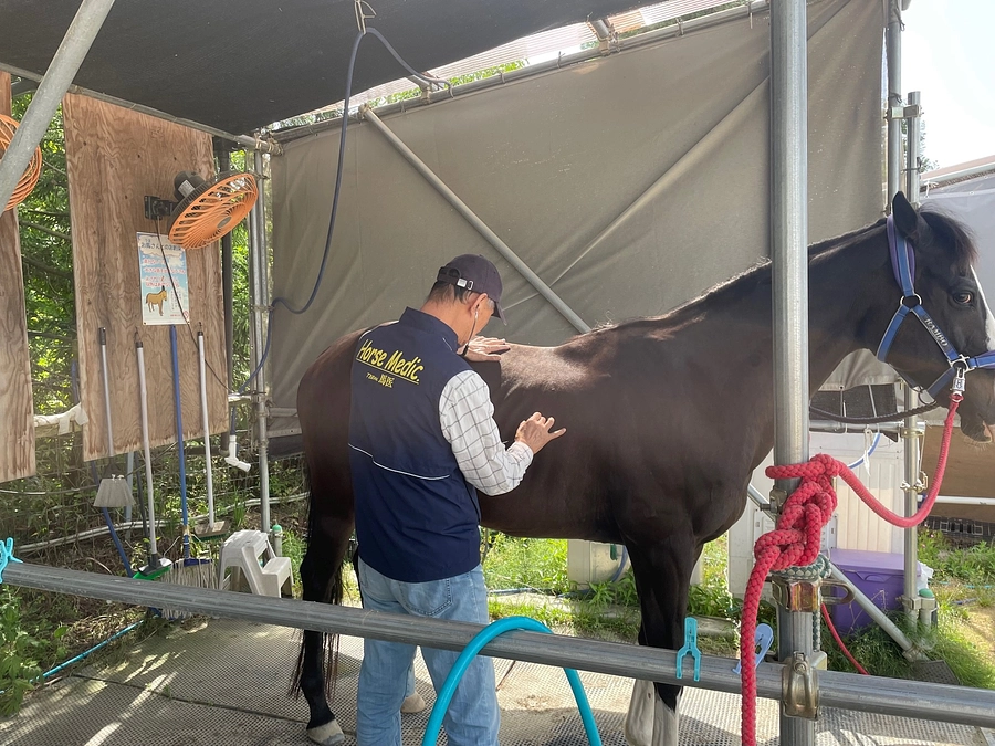 日々変化する馬の体調！アヴニールファームでの管理方法を御紹介