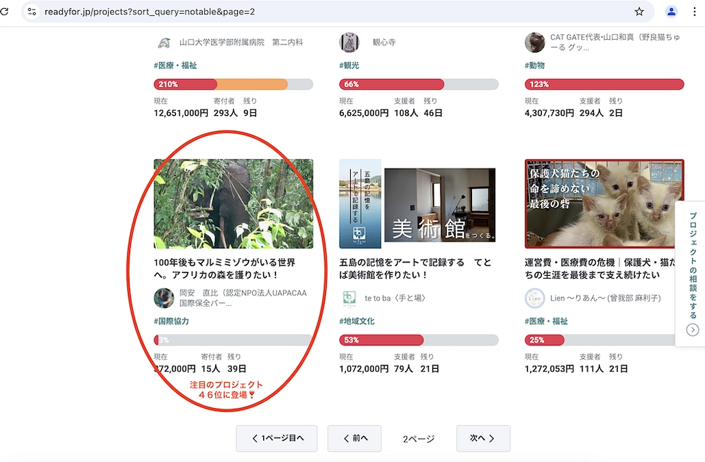 【重複ご容赦🙇‍♀️】新プロジェクト、活動報告更新しました❣️『ジャングルのゾウたち』（動画有り）
