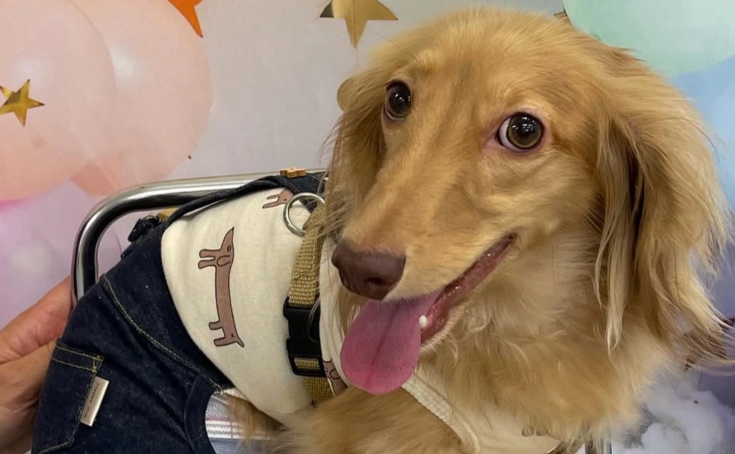 Leiくんへのご支援ありがとうございます3️⃣