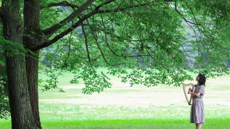 国産材ハープのパンフレットを作り、森の再生に貢献したい