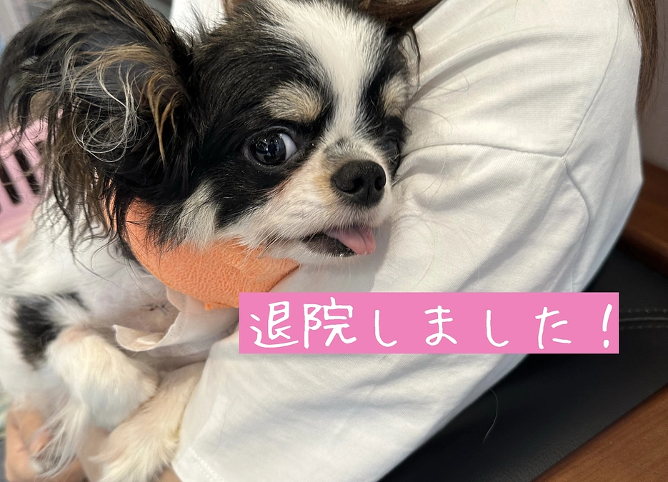 退院しました！