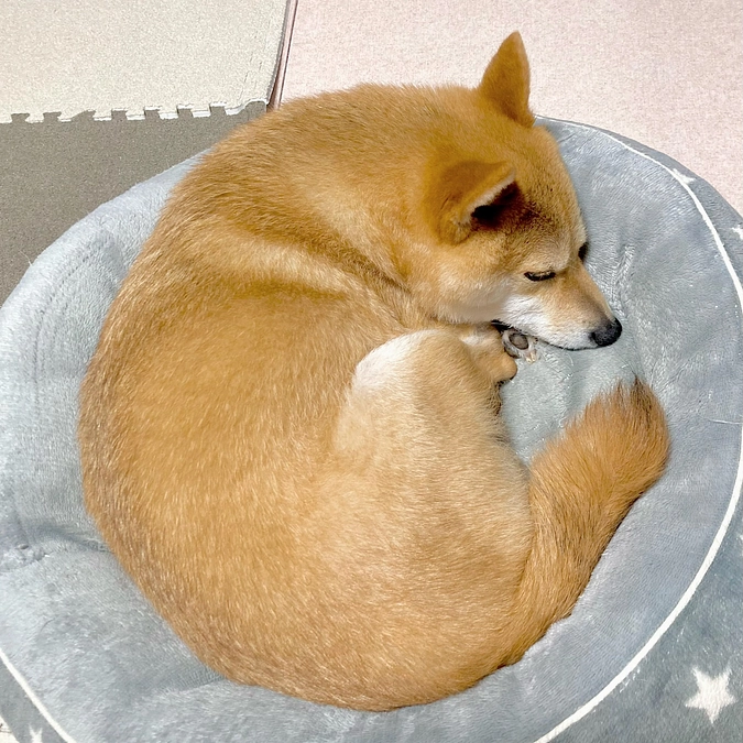 退院、無事帰宅です。【終了まで50時間】