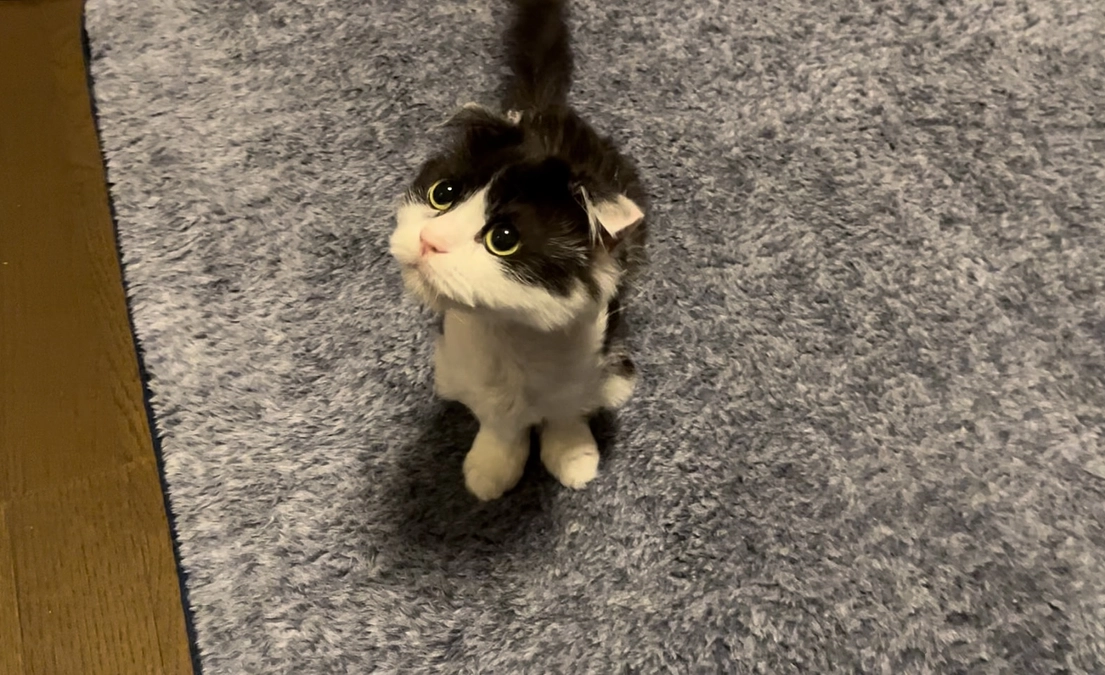 11/26〜27のテオくんの様子