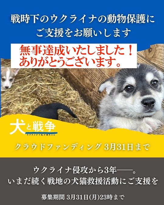 ご支援ありがとうございました!