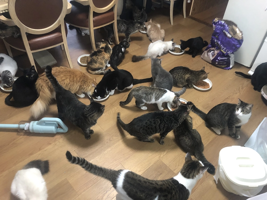 しばらく投稿が出来ず申し訳ございませんでした