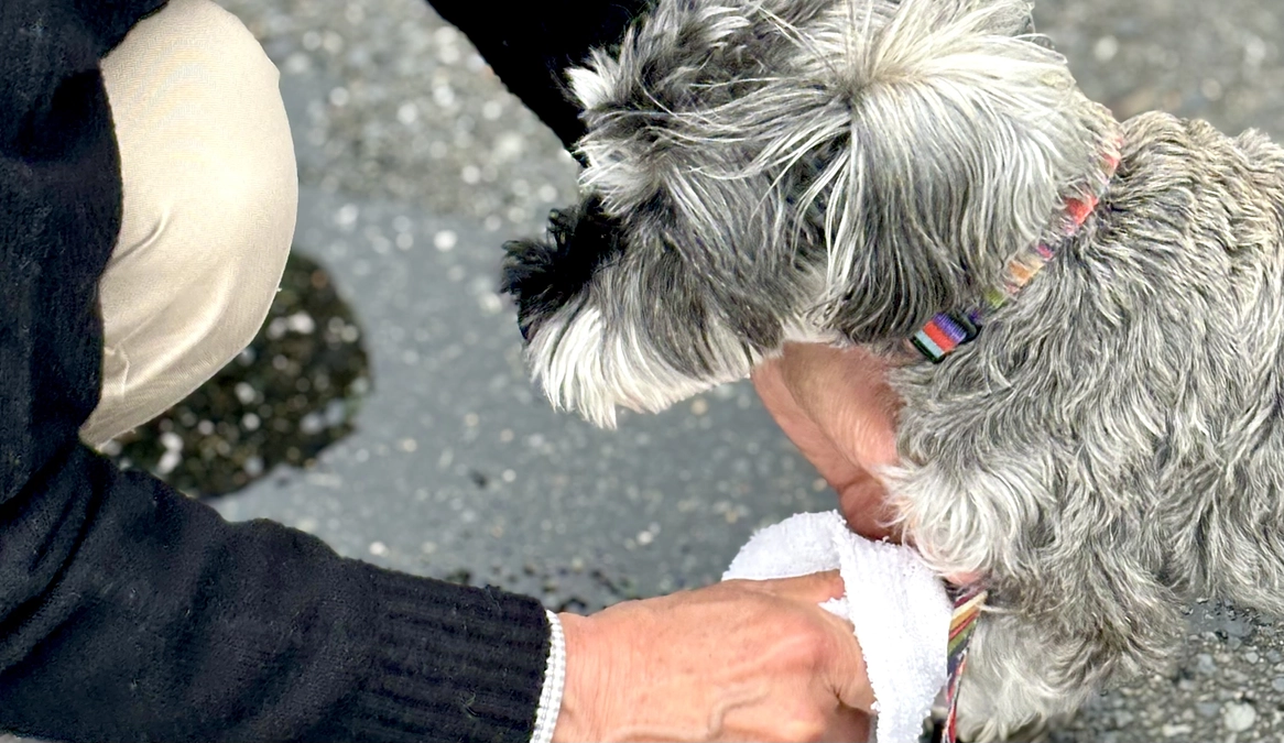 ロイとじいじの事を想うと。。