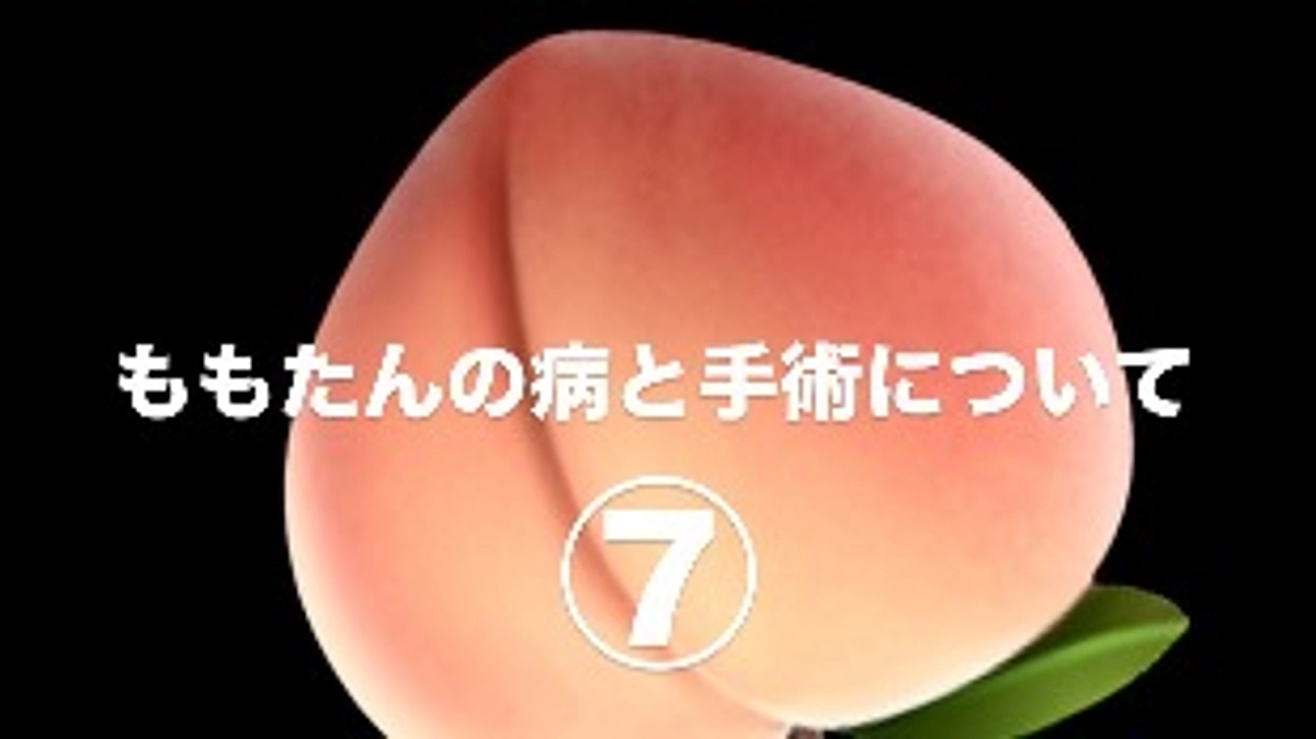 ももたんの病と手術について⑦