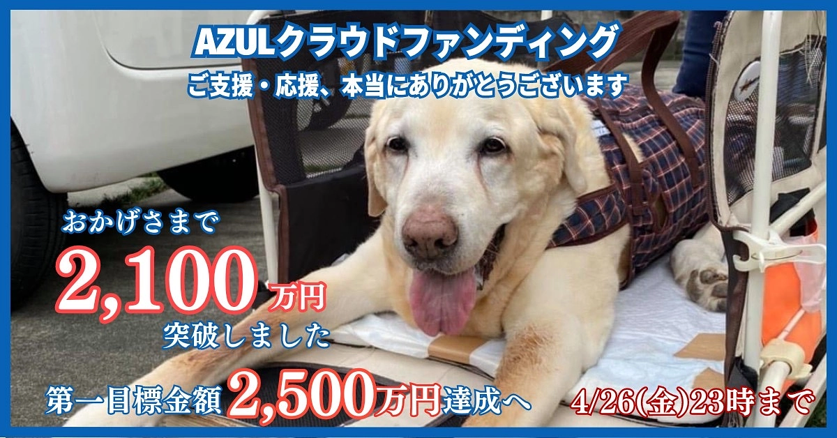 皆様の多大なるご協力のおかげで2100万を突破しました！！
