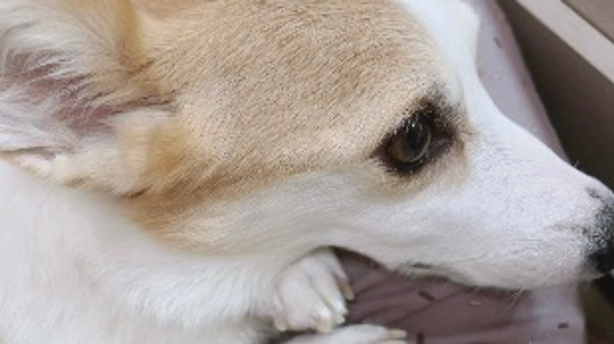 ご支援くださった皆様へご報告。