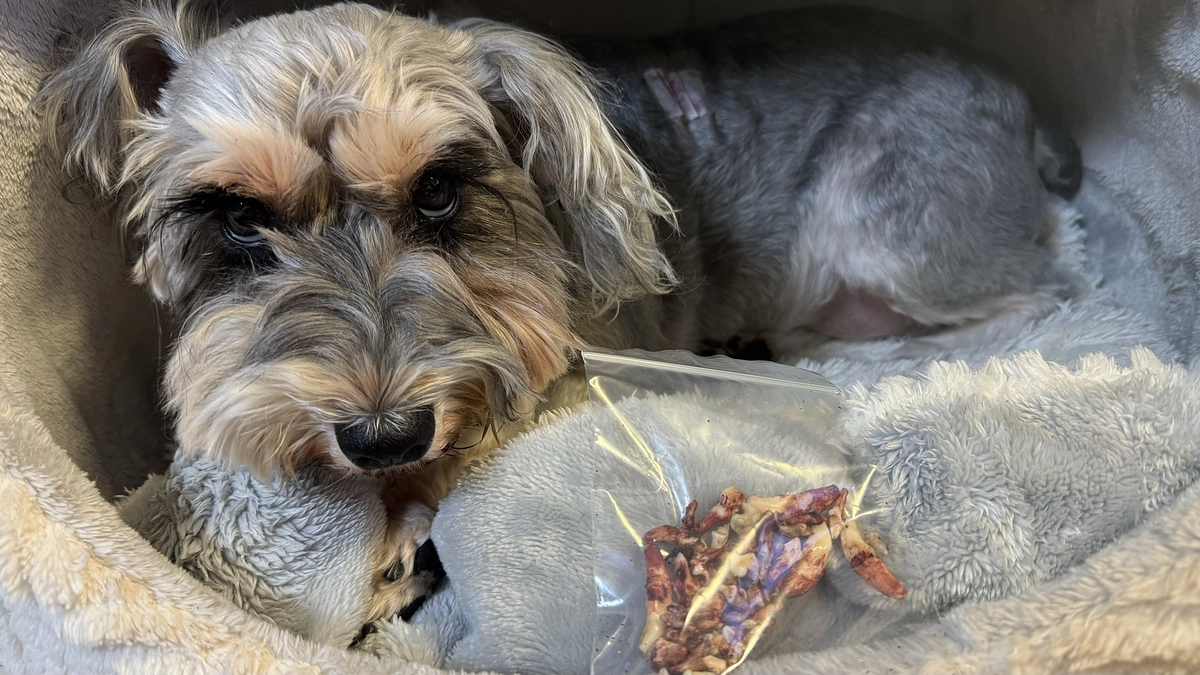 術後の様子日記