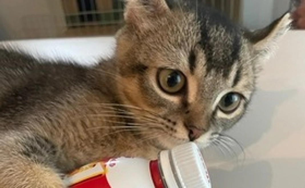 ちまきくんの元気な姿！