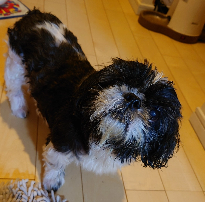 今までで1番咳が酷い1日