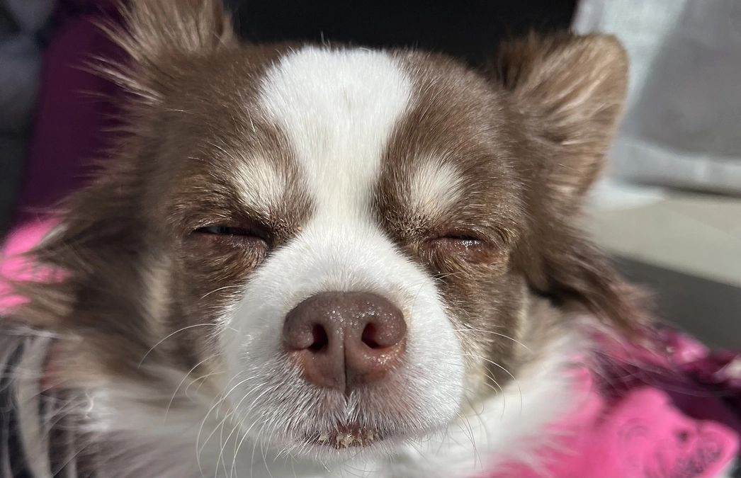 2024.3.10 術後三ヶ月検診のご報告です✨