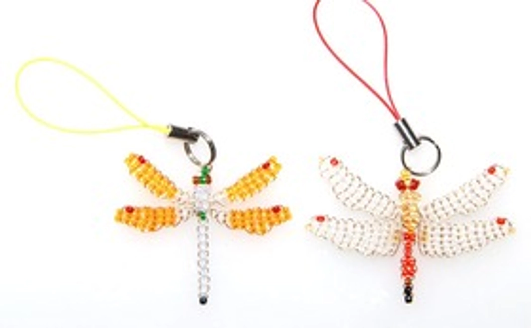 トンボを好きになってコース